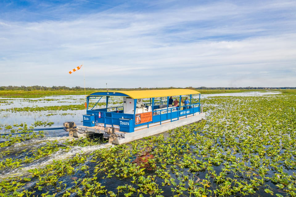 Kissimmee: Florida Everglades Pontoon Boat Tour – Kissimmee, Florida