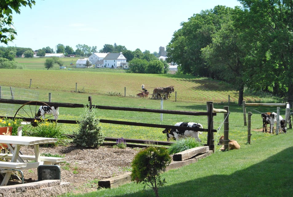 Lancaster: Amish Experience Visit-in-Person Tour of 3 Farms – Leacock Township, Pennsylvania