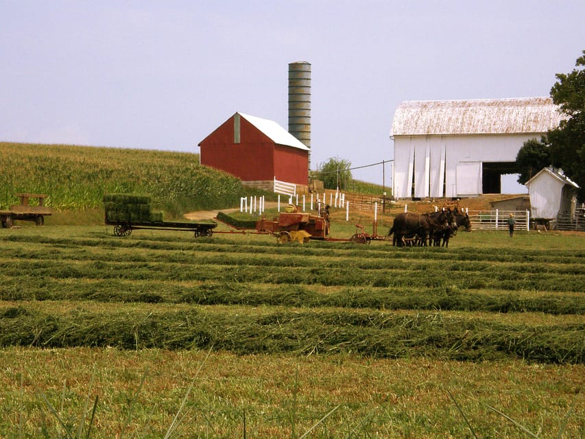 Lancaster: Amish Farmlands Guided Tour – Lancaster, Pennsylvania