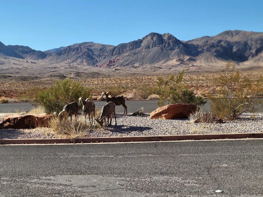 Las Vegas: Valley of Fire Guided Hiking Day Trip – Valley of Fire, Nevada