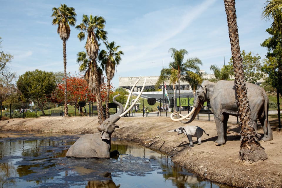 Los Angeles: La Brea Tar Pits Museum Ticket – Los Angeles, California