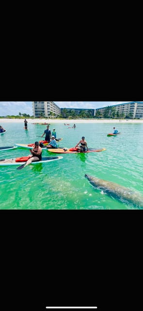 Marco Island: Guided Manatee-Watching Kayaking or SUP Tour – Marco Island, Florida