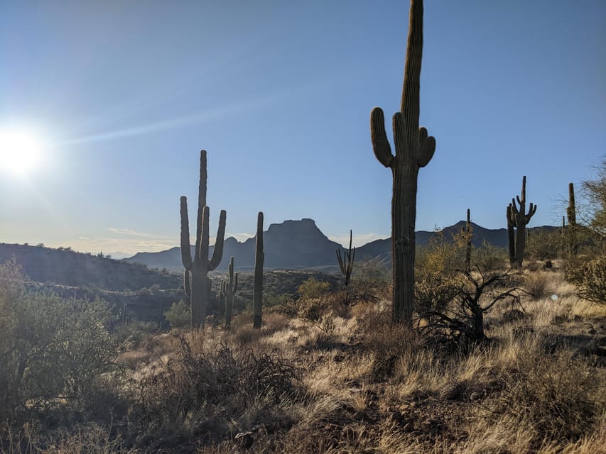 Mesa: Copper Mile Desert Hike – Mesa, Arizona