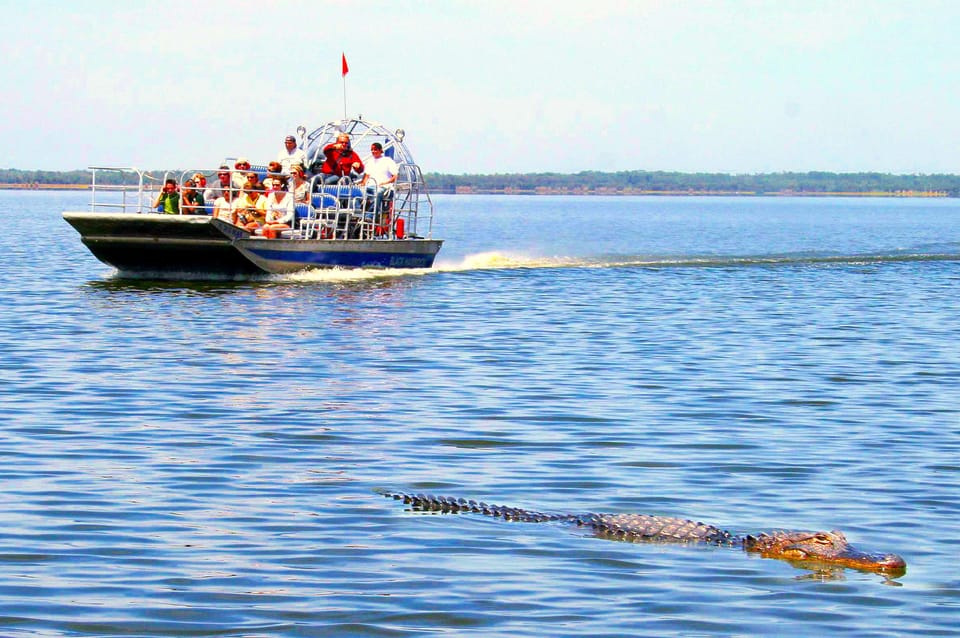 Miami Beach: 60 min Airboat, Transfer and Wildlife Sanctuary – Everglades Alligator Farm, Florida