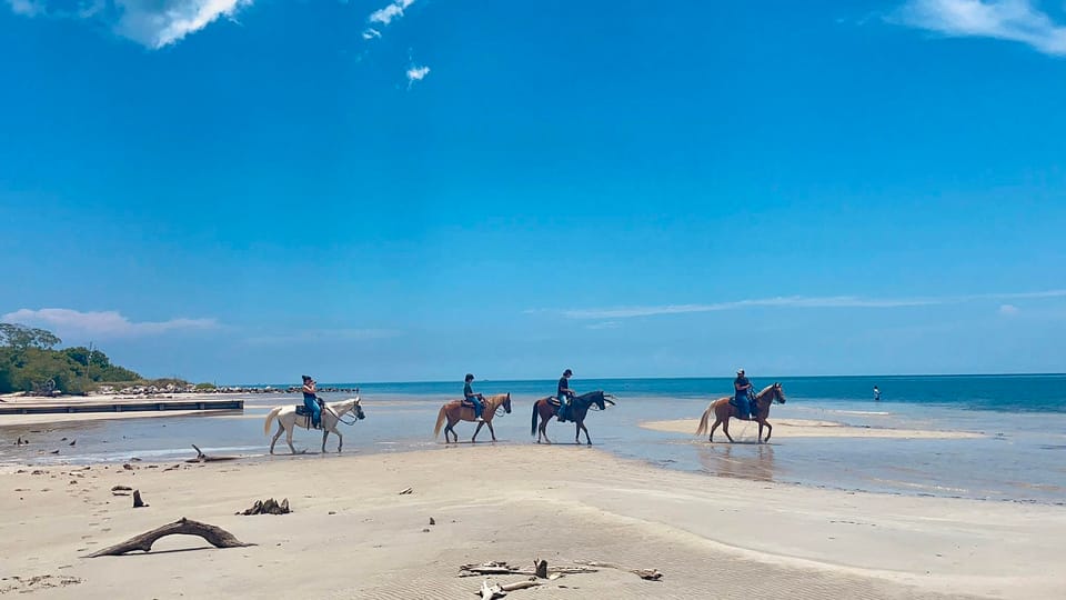 Miami: Beach Horse Ride & Nature Trail – Miami, Florida