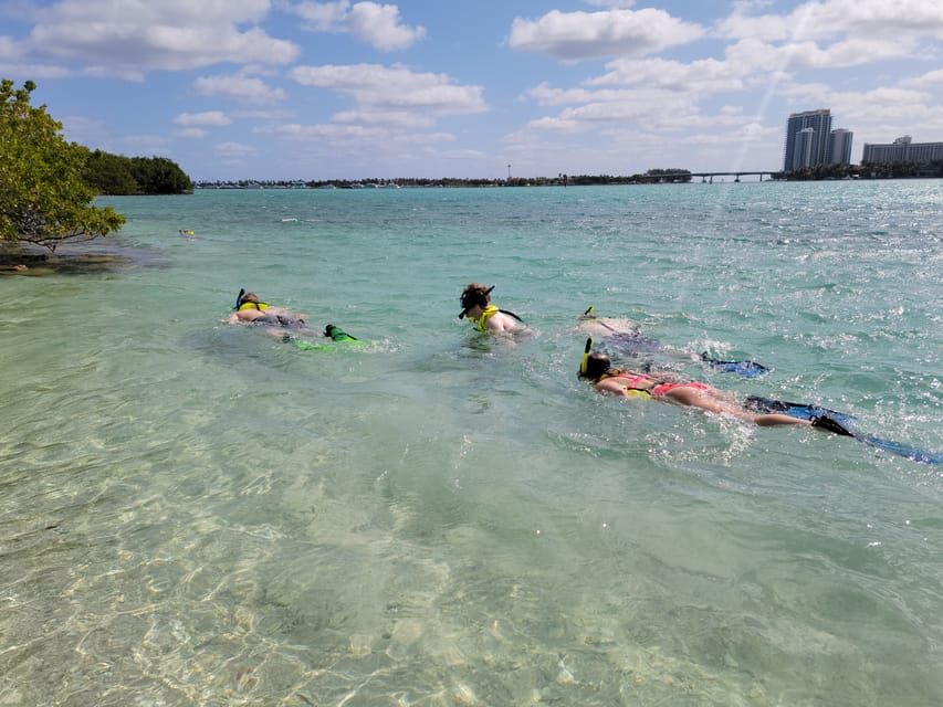 Miami: Beginner-Friendly Island Snorkeling by SUP or Kayak – Miami, Florida