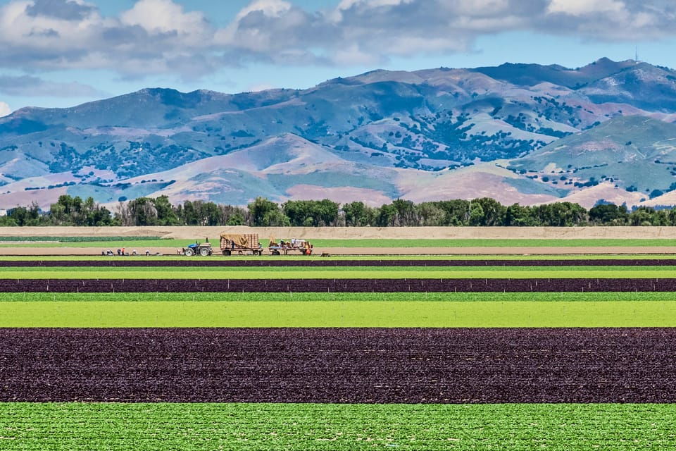 Monterey County Salinas Valley Farm Tour – California, California