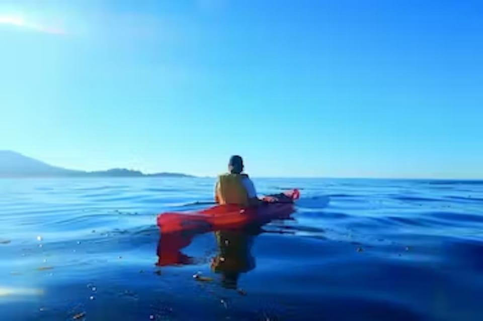 Monterey: Pebble Beach Kayak Tour – California, California