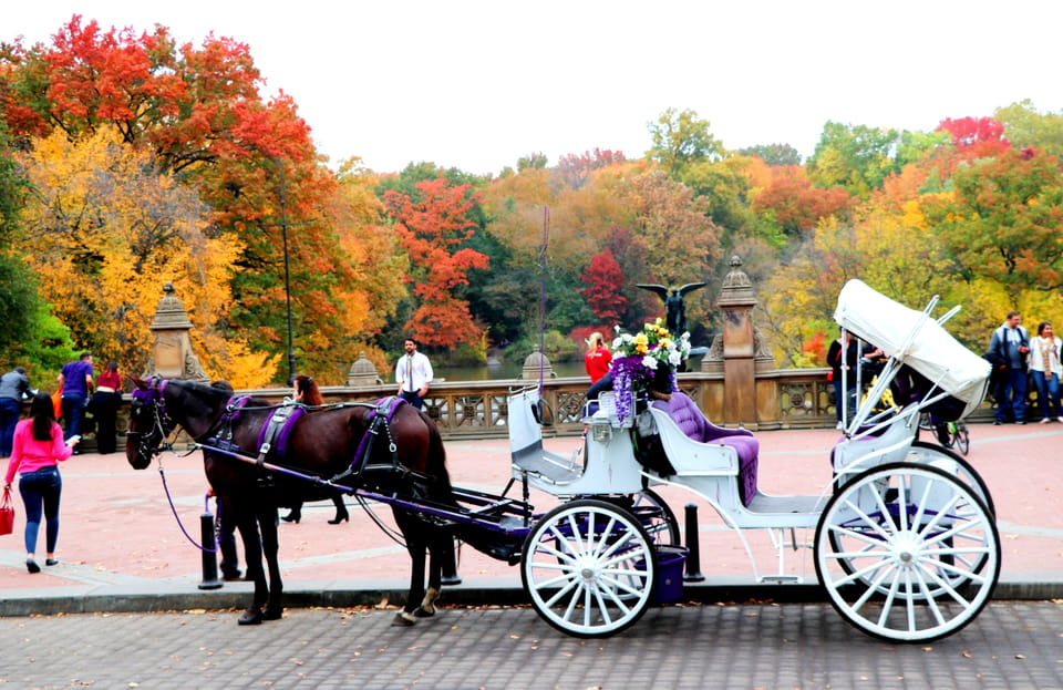 NYC: Central Park Horse-Drawn Carriage Ride (up to 4 Adults) – New York City, New York