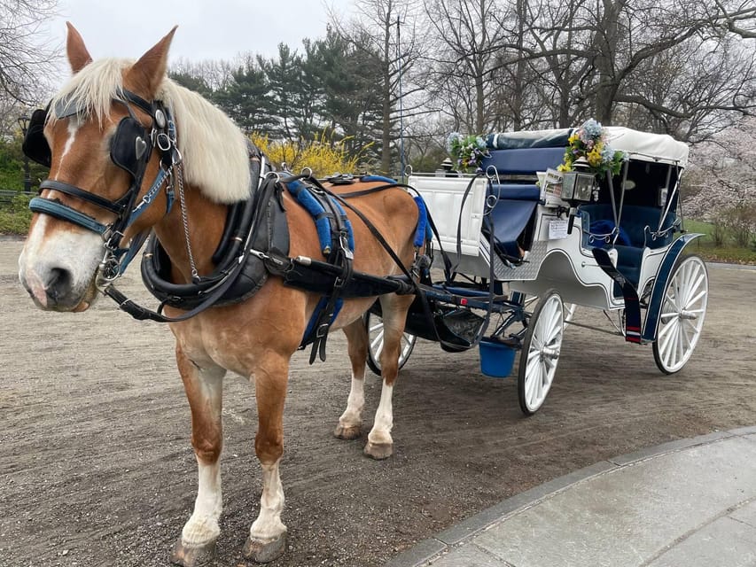 NYC Central Park Horse and Carriage Ride – New York City, New York