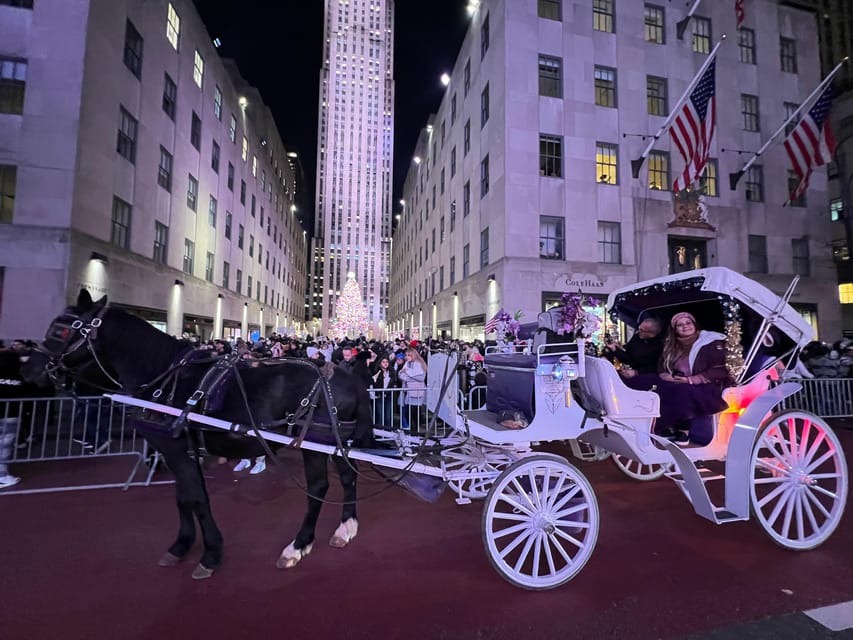 NYC: Central Park Private Horse Carriage Ride – New York City, New York