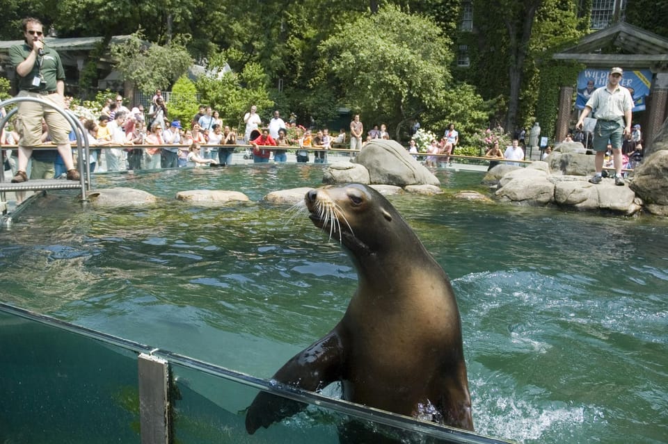 NYC: Central Park Zoo Entry Ticket & Manhattan Walking Tour – New York City, New York