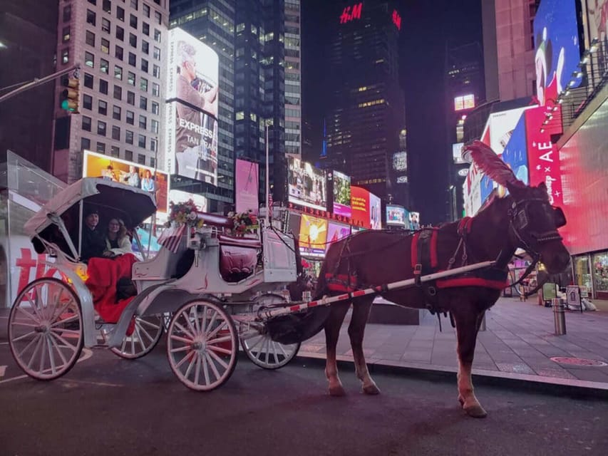 NYC: Christmas Lights Carriage Ride – New York City, New York