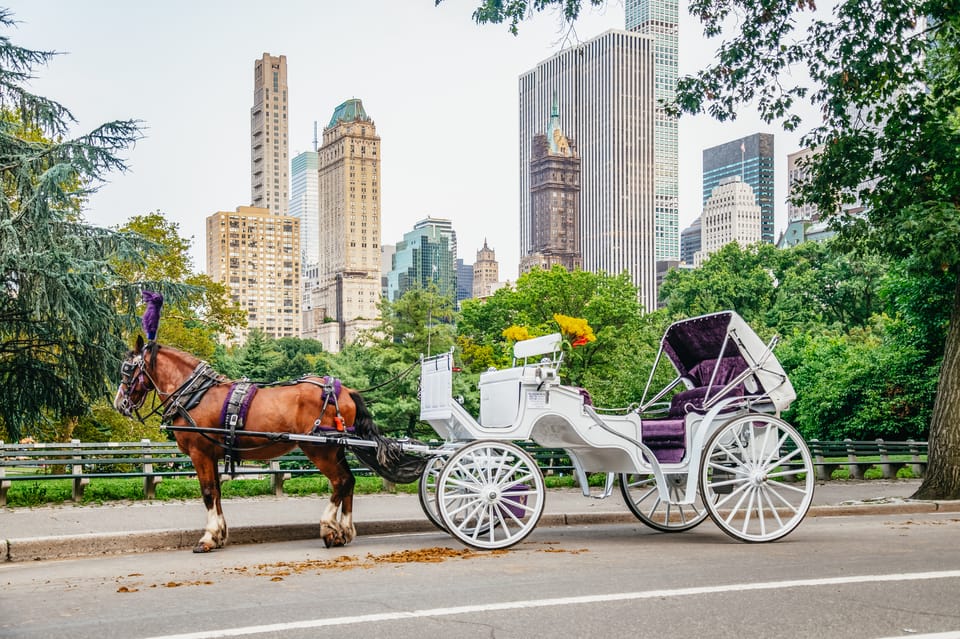 NYC: Guided Central Park Horse Carriage Ride – New York City, New York