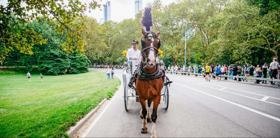 NYC: Private Christmas Lights Horse Carriage Ride – New York City, New York