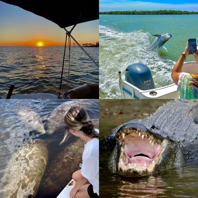 Naples, FL: Manatee, Dolphin, 10,000 Islands Sunset Cruise – Naples, Florida