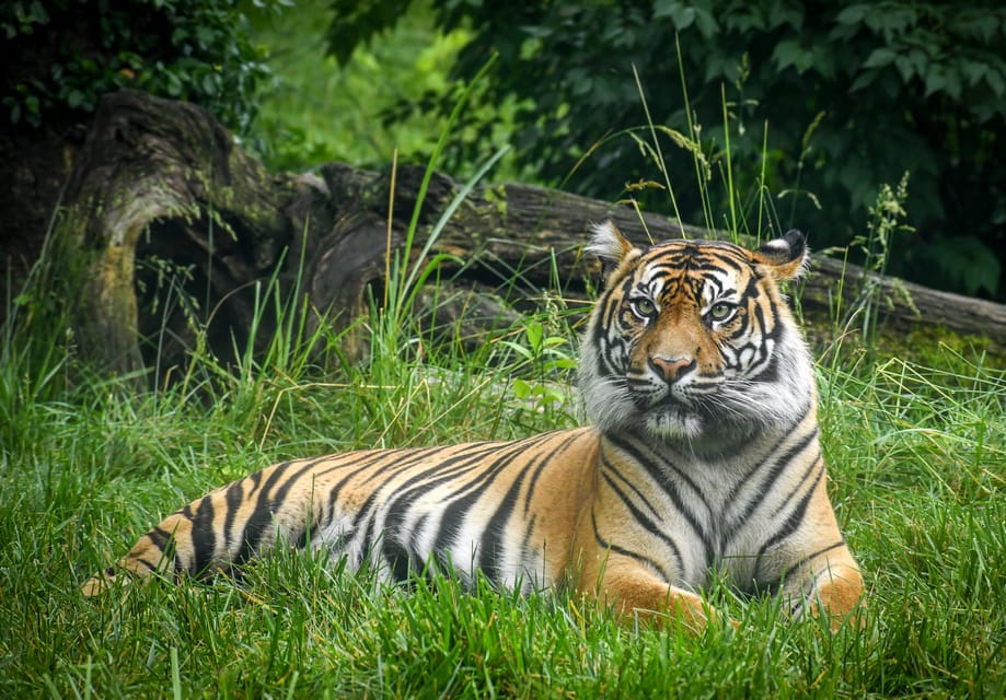 Nashville Zoo: Any-Day Admission Ticket – Nashville, Tennessee