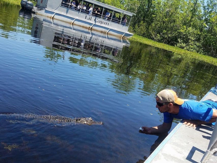 New Orleans: Guided Pontoon Swamp Tour with Wildlife Viewing – New Orleans, Louisiana