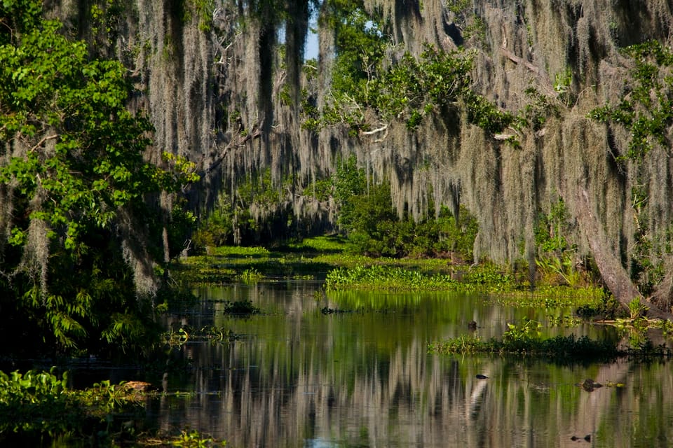 New Orleans: High Speed 16 Passenger Airboat Ride – New Orleans, Louisiana