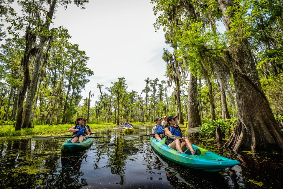 New Orleans: Manchac Magic Kayak Swamp Tour – New Orleans, Louisiana