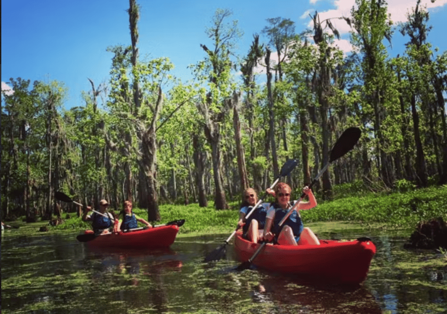 New Orleans: Manchac Swamp Wildlife Kayaking Tour – New Orleans, Louisiana