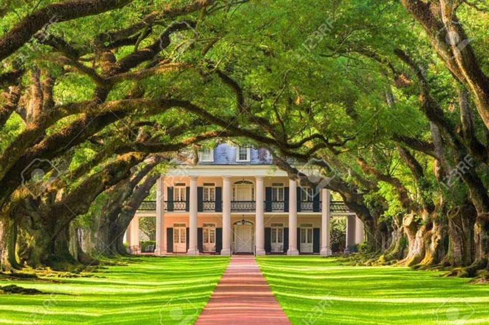 New Orleans: Oak Alley Plantation Tour and Airboat Tour – Vacherie, Louisiana