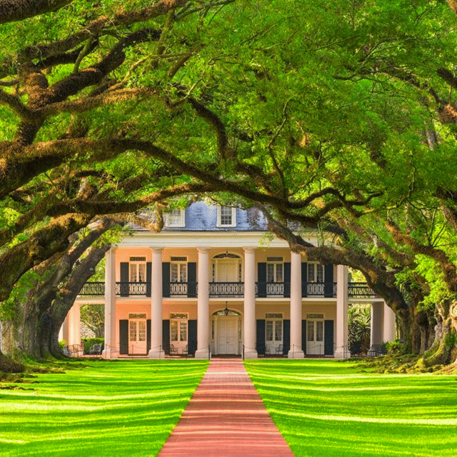 New Orleans: Oak Alley Plantation Tour and Transportation – Vacherie, Louisiana