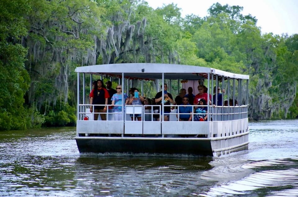 New Orleans: Swamp Tour on Covered Pontoon Boat – New Orleans, Louisiana