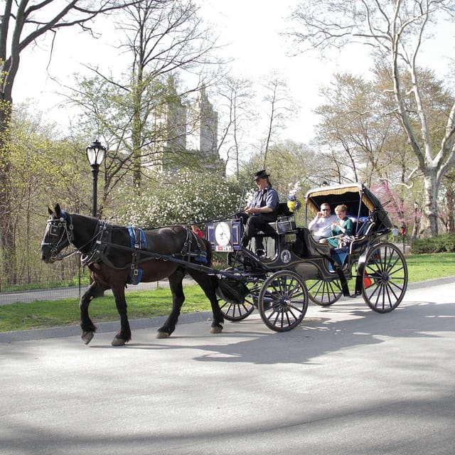 New York City: Central Park Horse Carriage 25-min Ride – New York City, New York