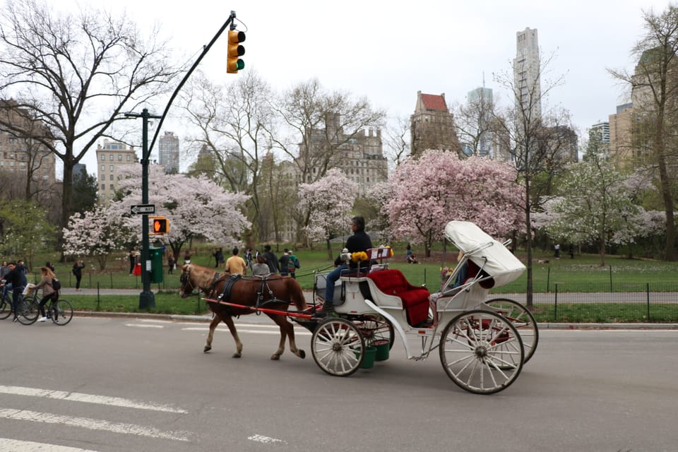 New York City: Horse Carriage Ride through Central Park – New York City, New York