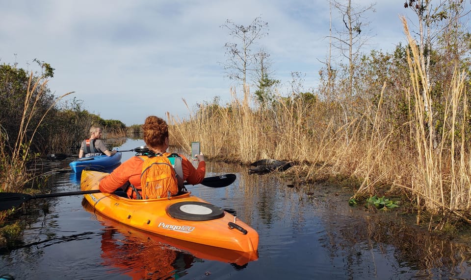 Okefenokee Swamp: Guided Kayak Tour with a Local Naturalist – Okefenokee Swamp, Georgia