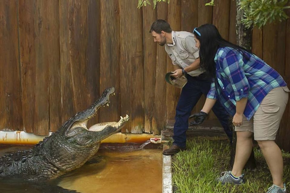 Orlando: Gatorland Interactive Tour with Animal Trainer – Southchase, Florida