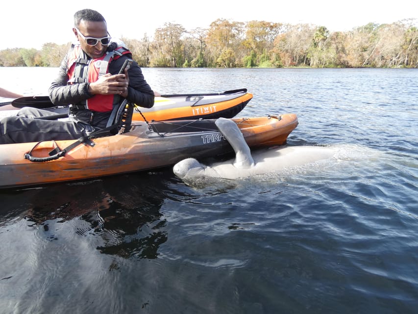 Orlando: Small Group Manatee Discovery Kayak Tour – Blue Spring State Park, Florida