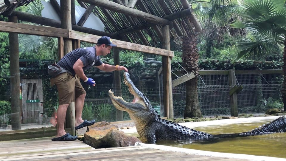 Orlando: Wild Florida Park Ticket and Gator Shows – Wild Airboats & Gator Park, Florida