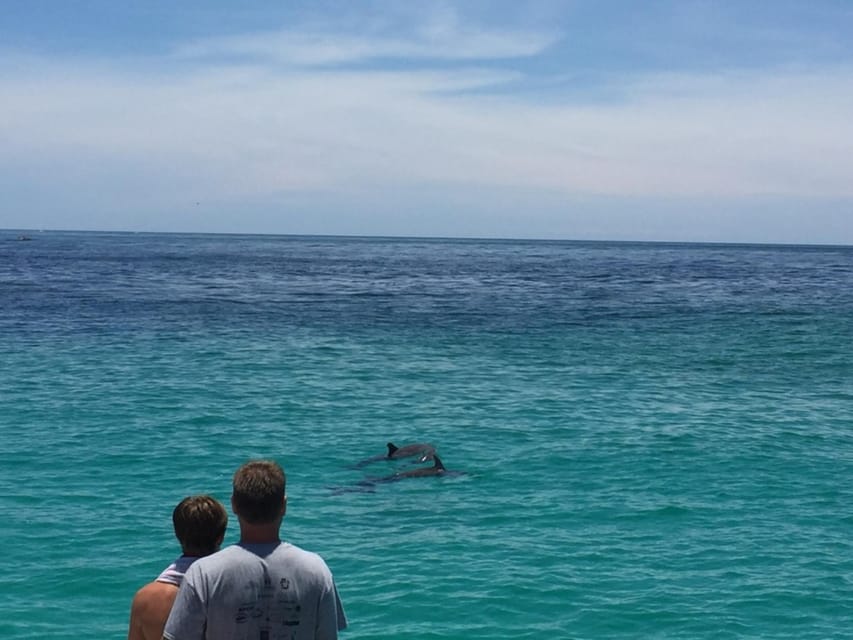 Panama City Beach: Dolphin Sightseeing Sail on the Footloose – Shell Island, Florida