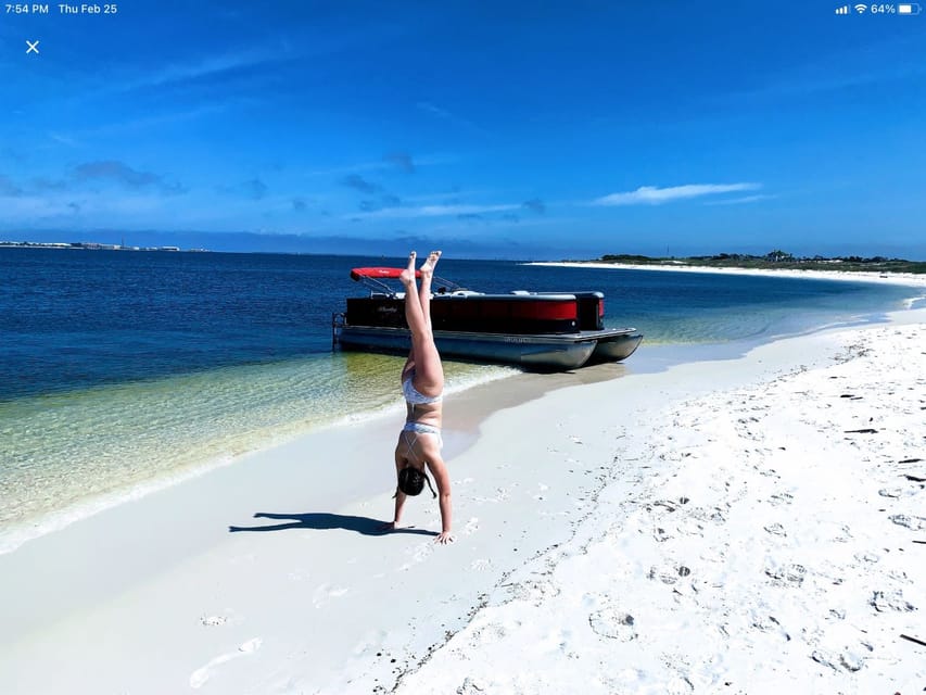 Private Dolphin Tour with Secluded Beach/Snorkel Stop – Pensacola Beach, Florida