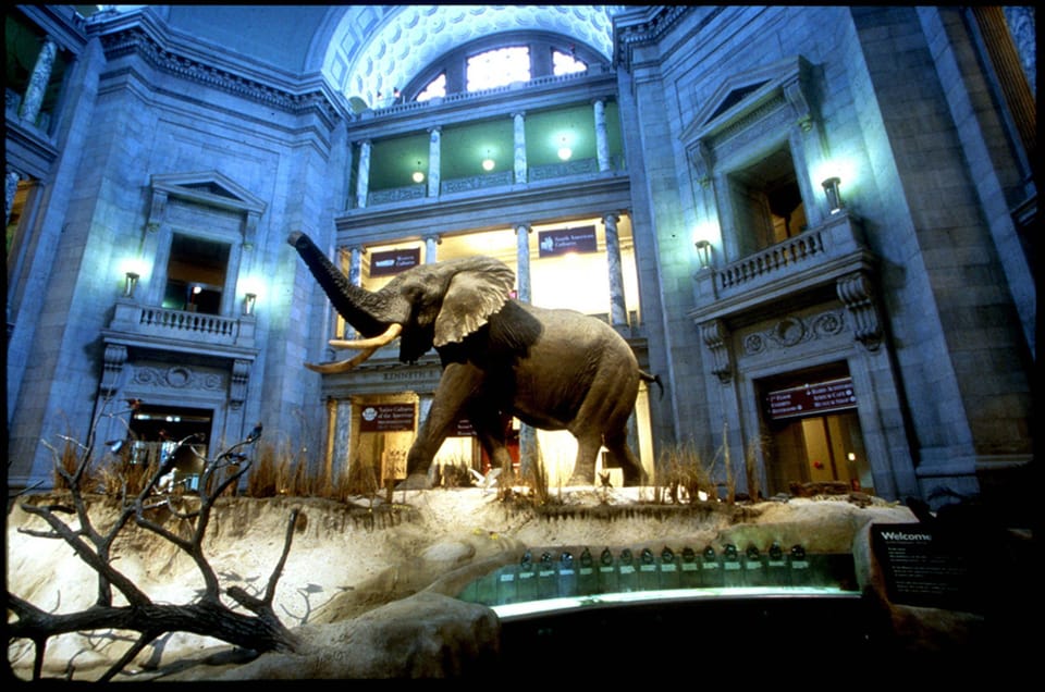 Private Guided Tour of The Natural History Museum – Washington DC