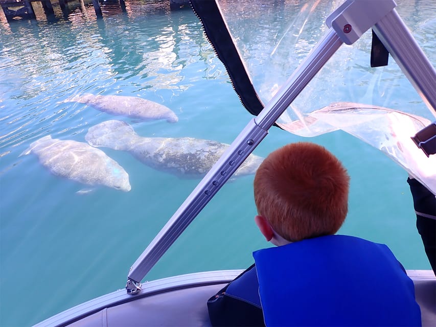 River Cruise with Manatee Viewing – Crystal River, Florida