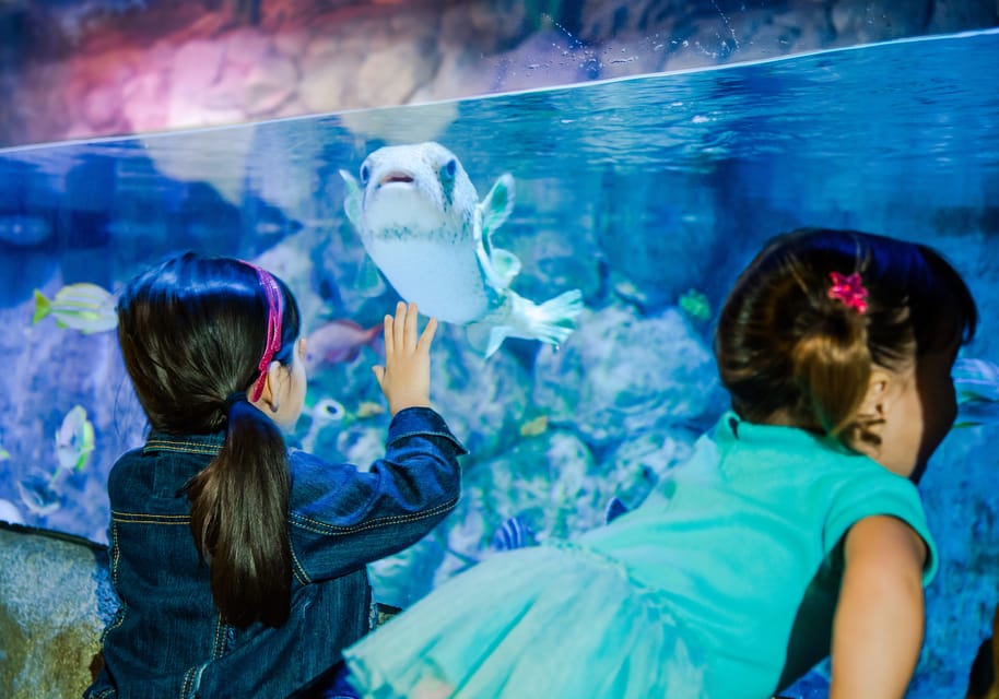 SEA LIFE Aquarium San Antonio – San Antonio, Texas