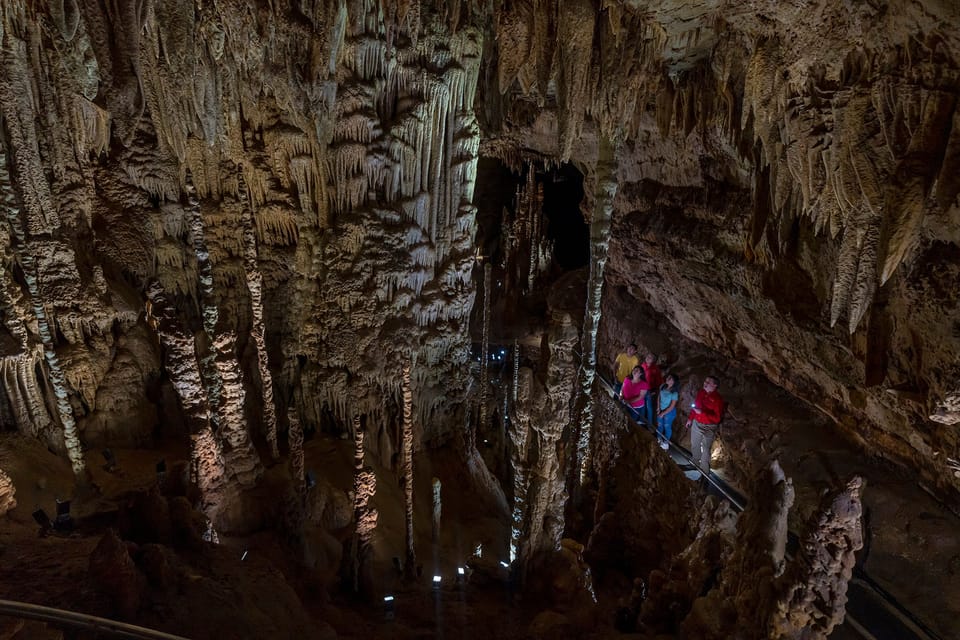 San Antonio: Discovery Tour at Natural Bridge Caverns – San Antonio, Texas