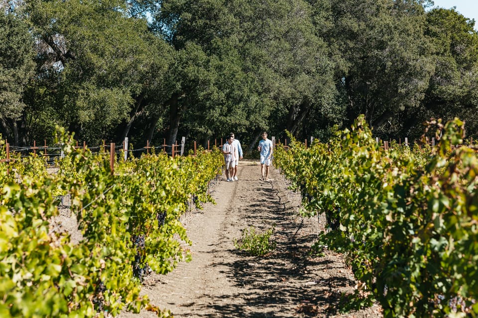 San Francisco: Half-Day Wine Country Excursion with Tastings – San Francisco, California