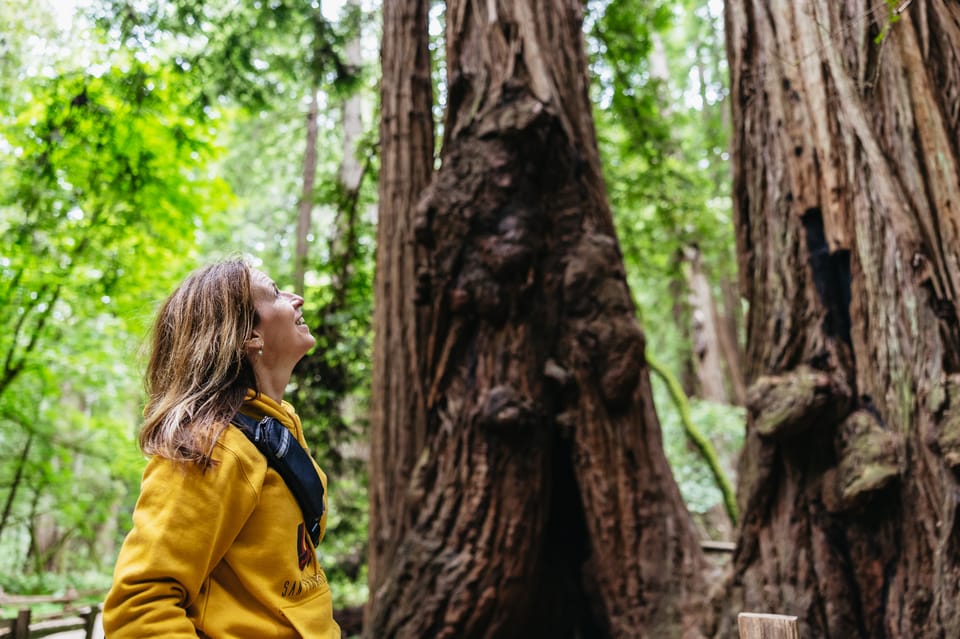 San Francisco: Muir Woods & Sausalito Tour with Ferry Option – San Francisco, California