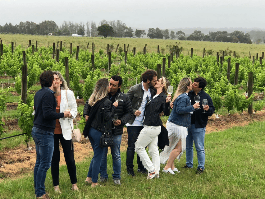 San Francisco: Napa Valley Half-Day Wine Tour with Tastings – San Francisco, California