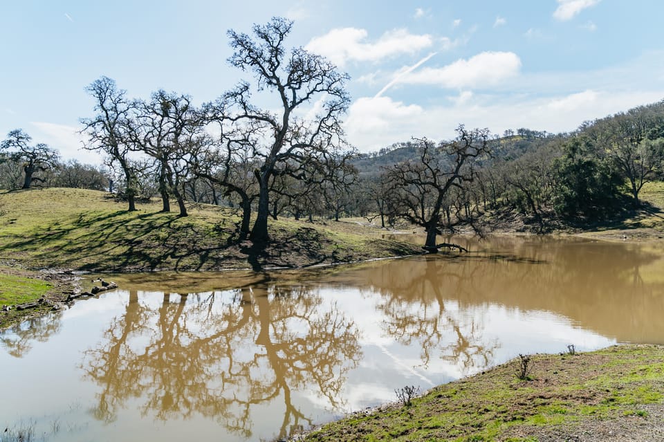 San Luis Obispo: Santa Lucia Guided Nature Tour – California, California