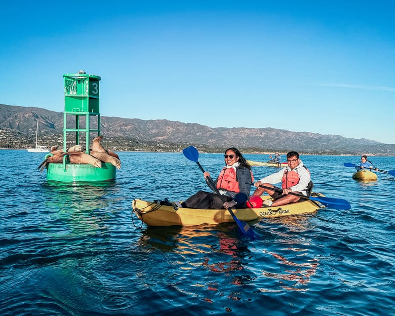 Santa Barbara Harbor: Wildlife Kayak Tour (2 Hours) – Santa Barbara, California