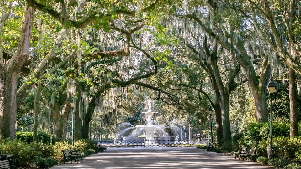 Savannah: History, Culture, & Scenic Views E-Bike Tour – Savannah, Georgia