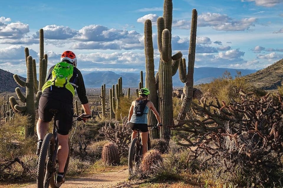 Scottsdale: Private Guided Mountain Bike Tour – Pima Dynamite Trailhead, Arizona