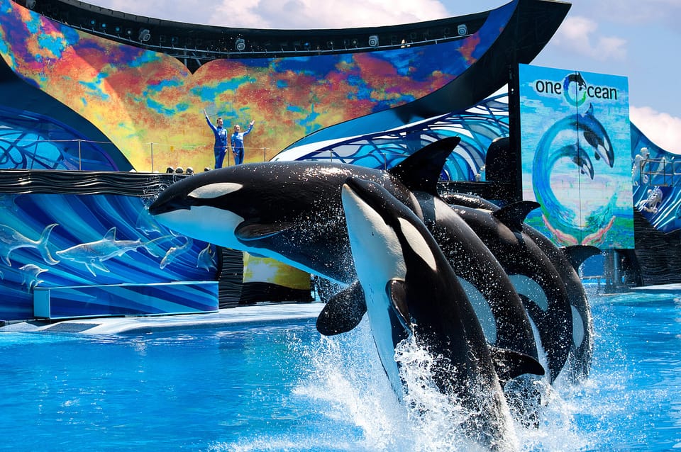 SeaWorld Orlando: Park Admission Ticket – Orlando, Florida