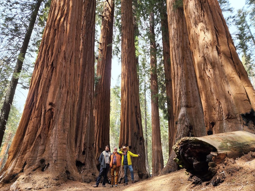 Sequoia National Park: Private Guided Hiking Tour – California, California