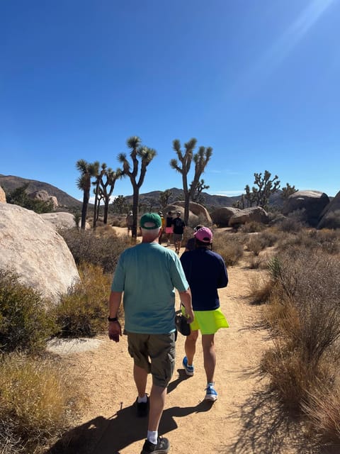 Sightseeing Adventure Tour of Joshua Tree Park (Max 10) – California, California